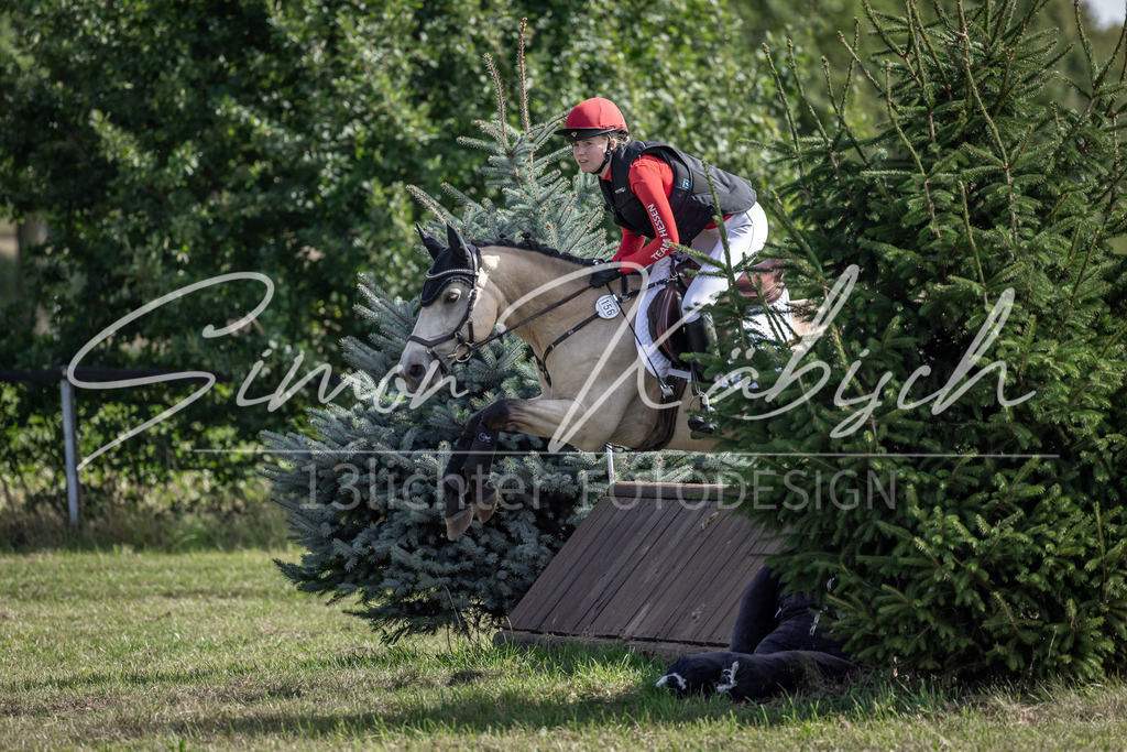20250907-_3LI9728 | Tierfotografie Pferde, Hunde, Katzen, Haustiere.
Turnierfotografie Reitturniere, Reiten, Springreiten, Dressur in Hanau, dem Main-Kinzig-Kreis und dem Rhein-Main- Gebiet um Frankfurt