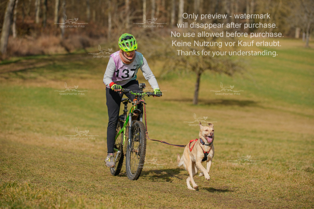 Sa_Bike2-19 | stephaniefillaphotographie - Realisiert mit Pictrs.com