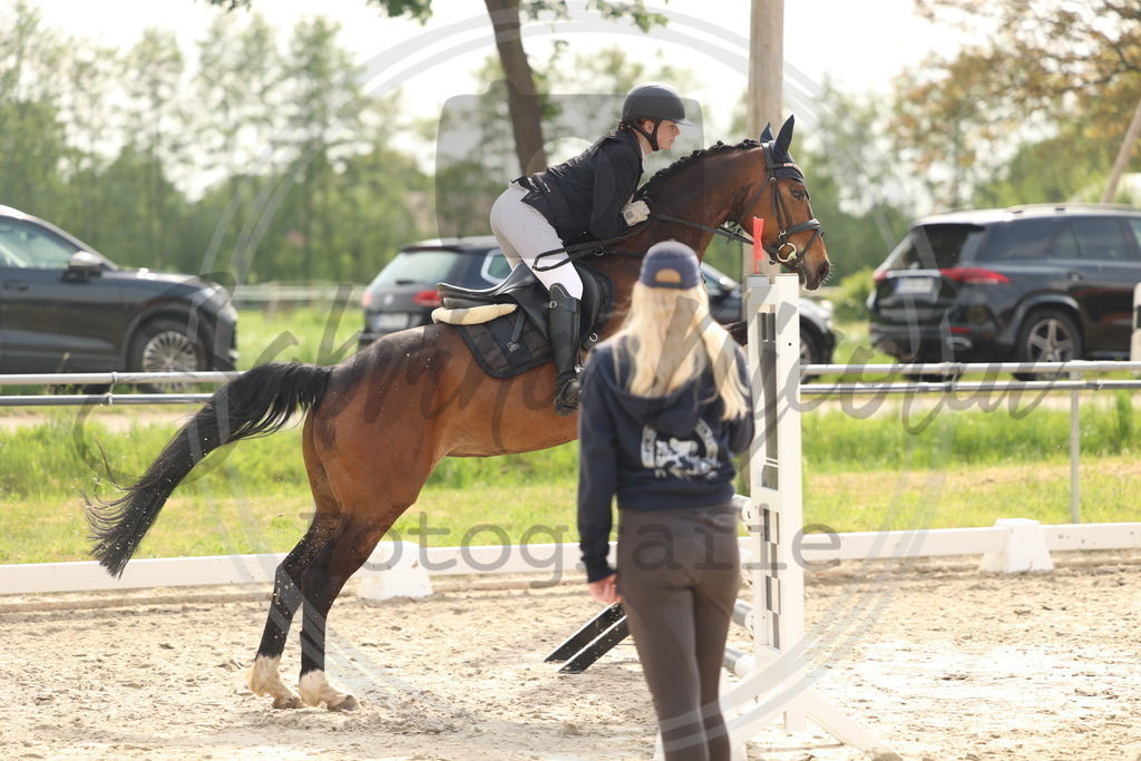 994A7806 | sabrinanicolaifotografie - Realisiert mit Pictrs.com