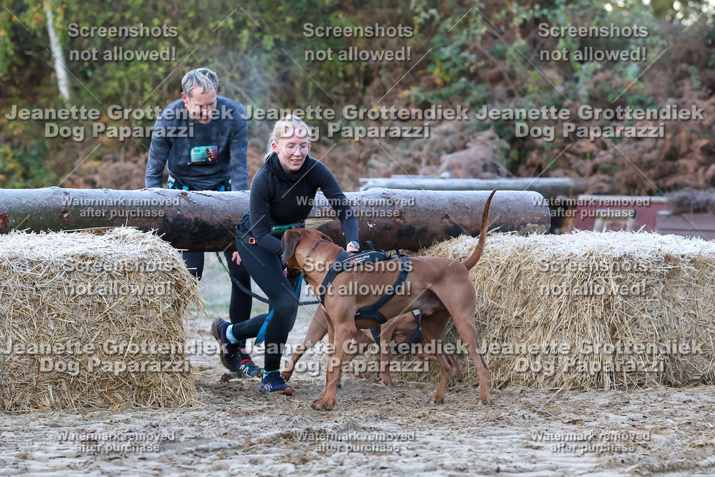 Dog Paparazzi - Strongdog 10-25-164 | Dog Paparazzi Jeanette Grottendiek Fotografie & Videografie - Realisiert mit Pictrs.com
