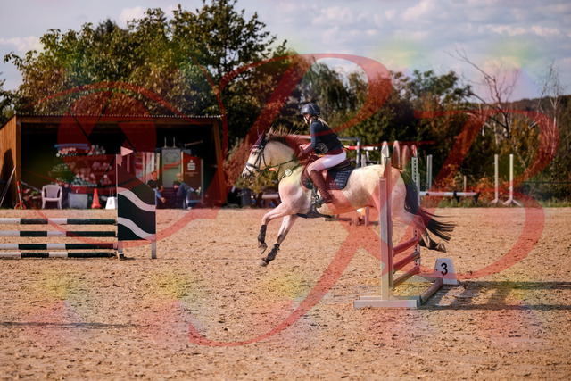 2026_10_03_Siefer-Hof_154508_Z81_63370403 | Professionelle Reitsport-, Turnier- und Eventfotografie von Robert Broda. Galerien mit ausgewählten und bearbeiteten Bildern direkt online ansehen und bestellen.