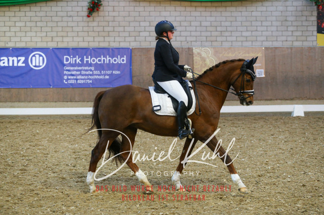 IMG_2958 | Turnierfotos kaufen im Webshop von Daniel Kuhl Photography – entdecke professionelle Reitsportfotos aus Turnieren & Events. Hochwertige Turnierbilder online bestellen & sichern. Jetzt Fotos von Reitsportturnieren kaufen!