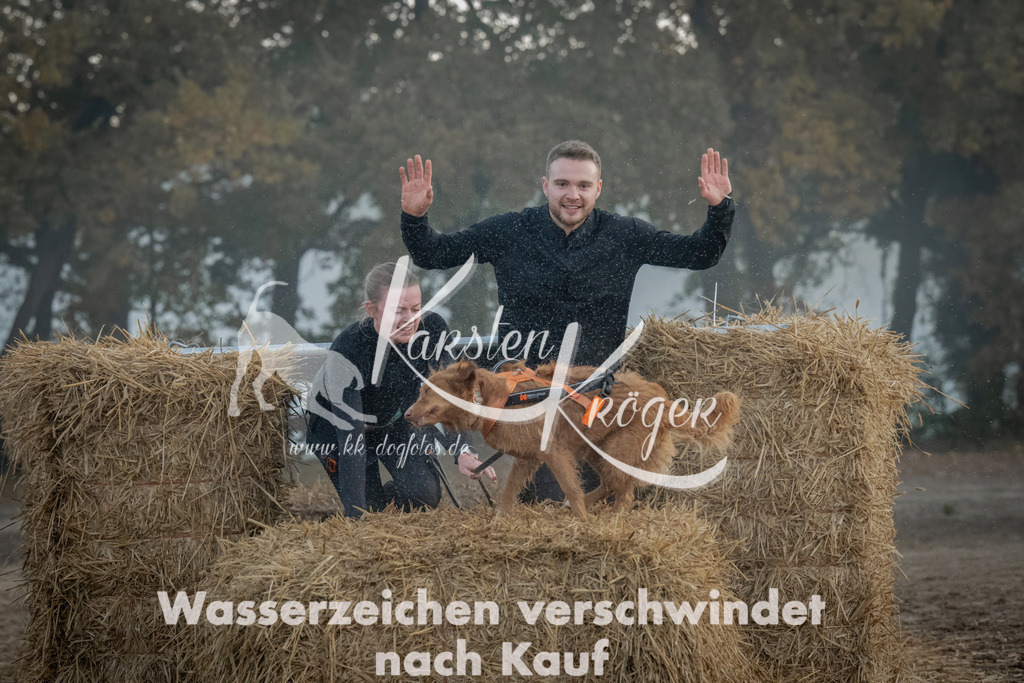 0816_ZZ97569 | kk-dogfotos