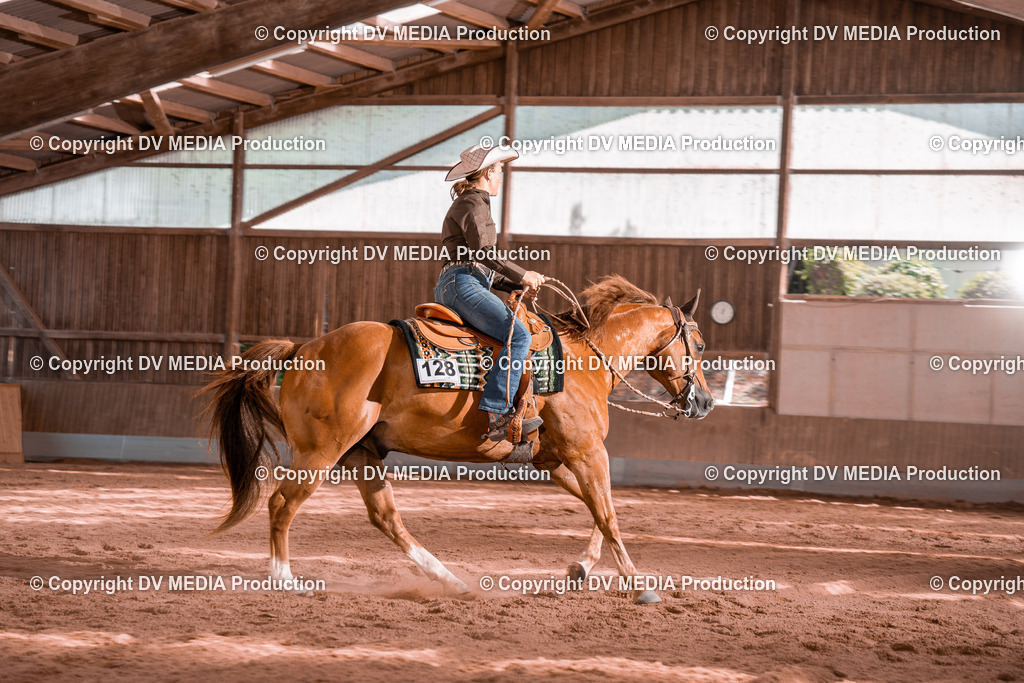 NE100784 | dv-media-shop - Realisiert mit Pictrs.com