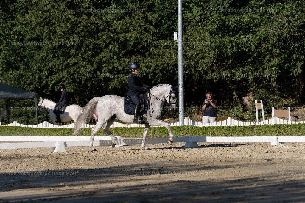 WM_DR_143_sinafilmart_IN04560 | working equitationturnier fotograf videograf stoibphotography marixx film working equitation deutschland reitsport turnierfotografie eventfotografie equestrian events