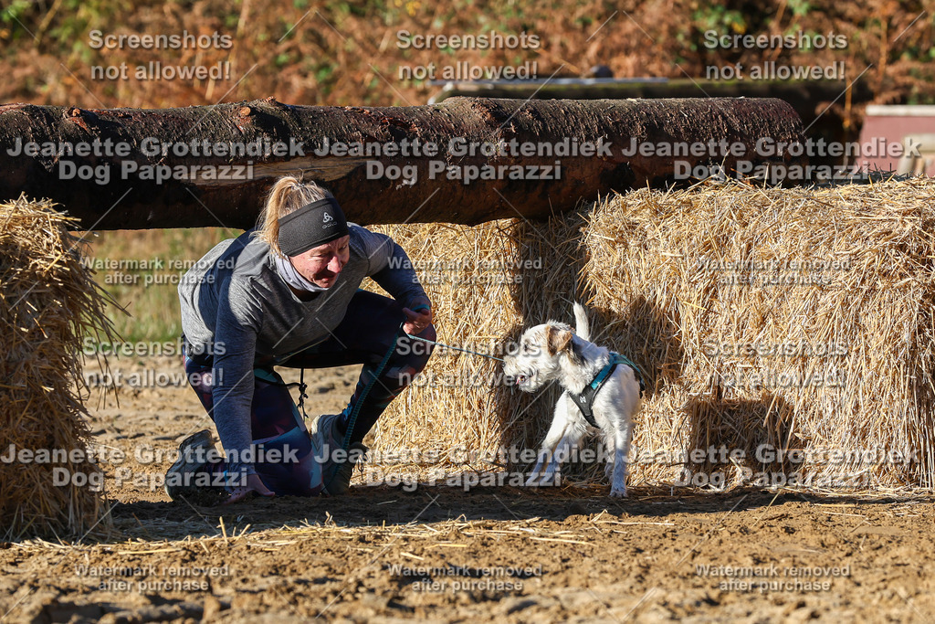 Dog Paparazzi - Strongdog 10-25-1392 | Dog Paparazzi Jeanette Grottendiek Fotografie & Videografie - Realisiert mit Pictrs.com
