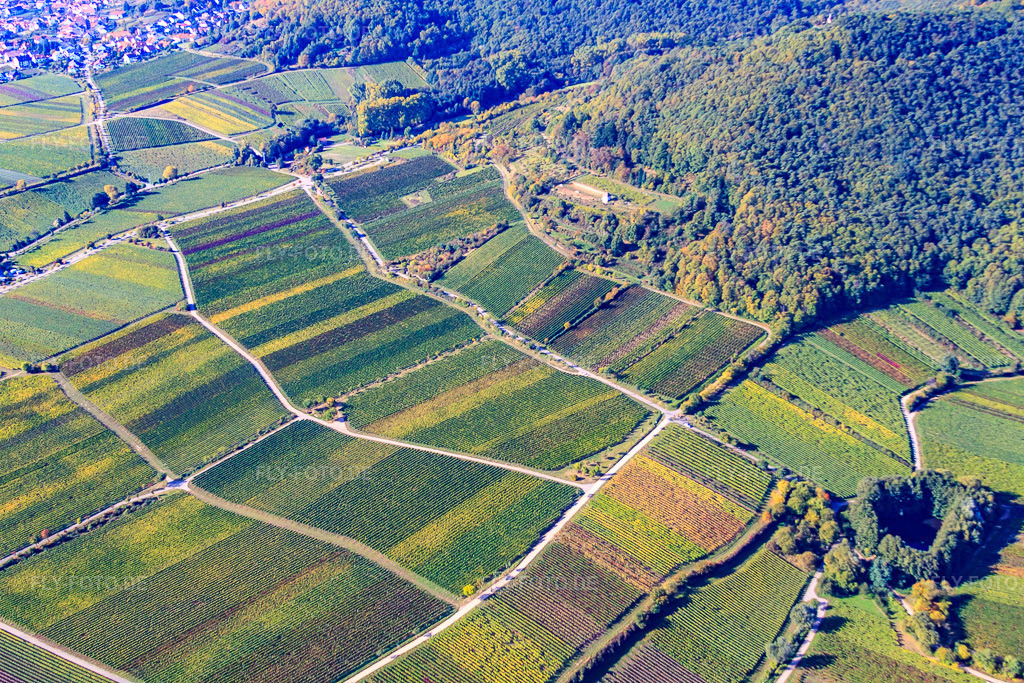 Luftbild: Haardtrand am Eichelberg in Maikammer im Bundesland Rheinland-Pfalz in Deutschland. Foto: IMG_22118.jpg vom 15.10.2009 durch Werner Riehm/FLY-FOTO.de