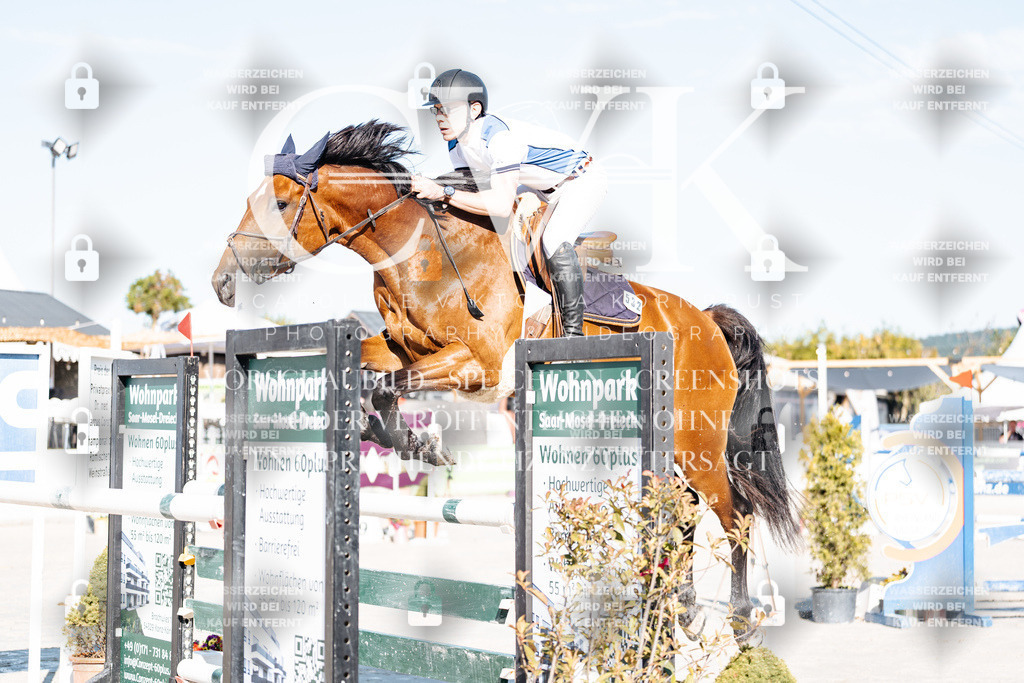 CK904152 | Turnierfotografie Pferdefotografie Trier Rheinland-Pfalz Pferdesport Reitsport Tierfotografie Sportfotografie Pferdevideo Pferdevideografie Equestrianvideography equestrianphotography  - Realisiert mit Pictrs.com