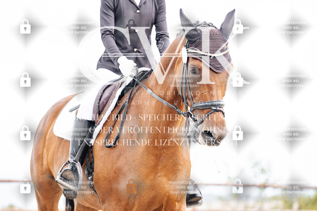 CK901007 | Turnierfotografie Pferdefotografie Trier Rheinland-Pfalz Pferdesport Reitsport Tierfotografie Sportfotografie Pferdevideo Pferdevideografie Equestrianvideography equestrianphotography  - Realisiert mit Pictrs.com