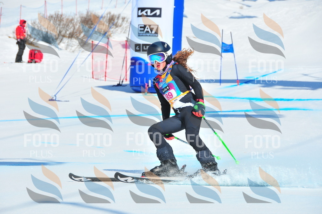 DSC_4482 | holidayphoto