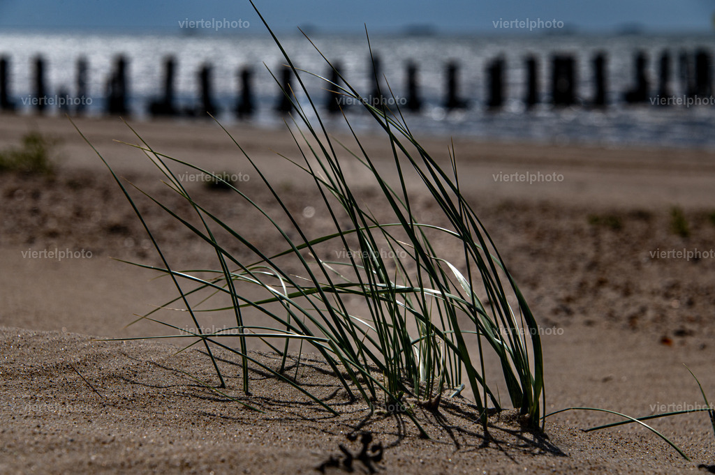 Blick von Föhr nach Langeneß (02) | viertelphoto - Realisiert mit Pictrs.com