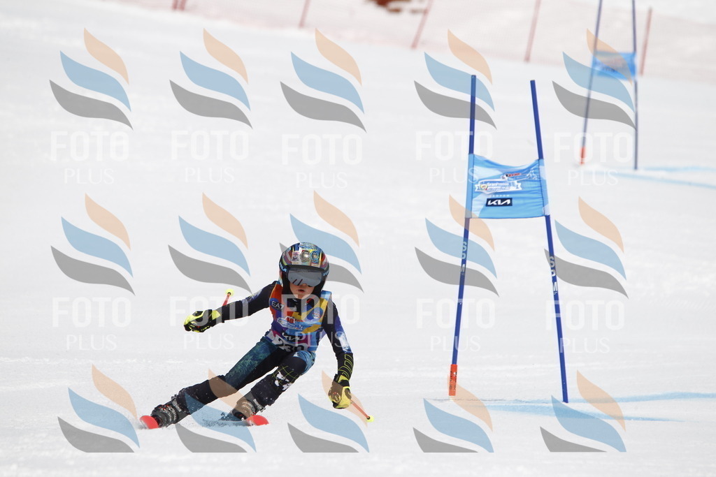 _U3G5926 | holidayphoto