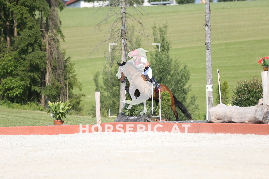 DL2Q3117 | Willkommen bei Brunnmayr - Design & Fotografie – Ihrem Spezialisten für Reitturniere und Pferdeveranstaltungen in Oberösterreich, Salzburg und Bayern! Seit über 17 Jahren sind wir leidenschaftlich dabei.
