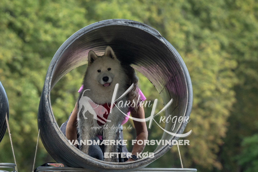 1329_ZZ93305 | kk-dogfotos