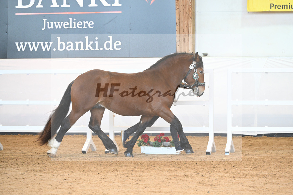 Kat-Nr. 13 v. Ratz Fatz_Seifert_2230115 | hf-fotografie - Realisiert mit Pictrs.com