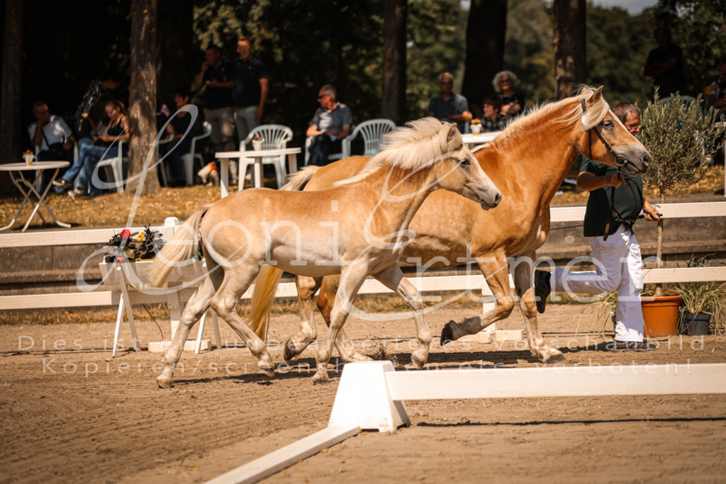 06.DoH00004 | Leoni Ertmer Photography - Realisiert mit Pictrs.com