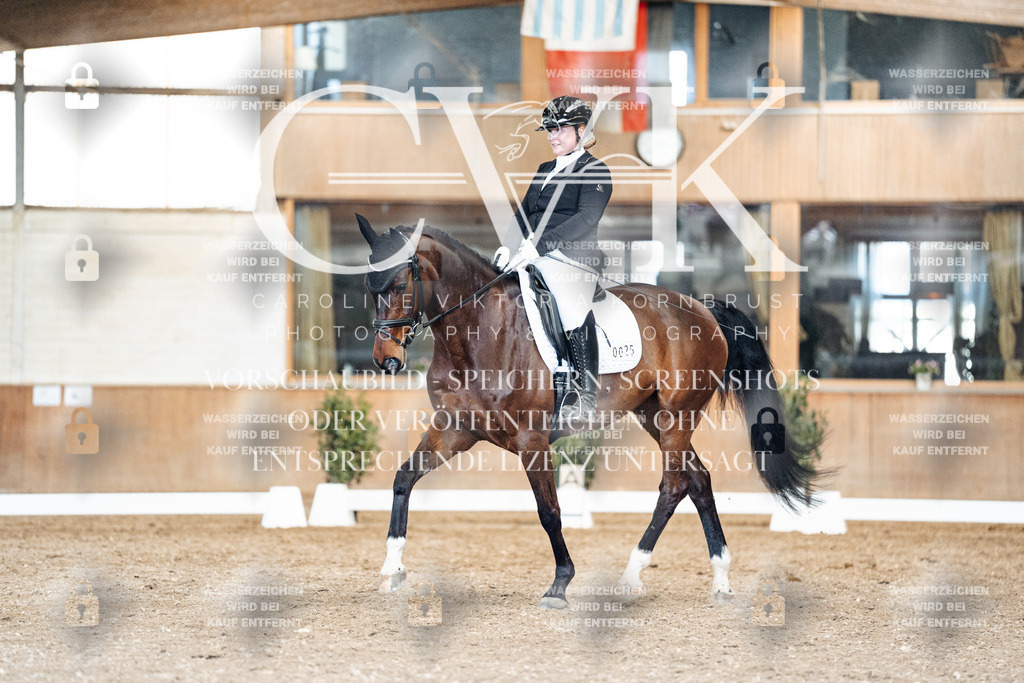 CK901579 | Turnierfotografie Pferdefotografie Trier Rheinland-Pfalz Pferdesport Reitsport Tierfotografie Sportfotografie Pferdevideo Pferdevideografie Equestrianvideography equestrianphotography  - Realisiert mit Pictrs.com