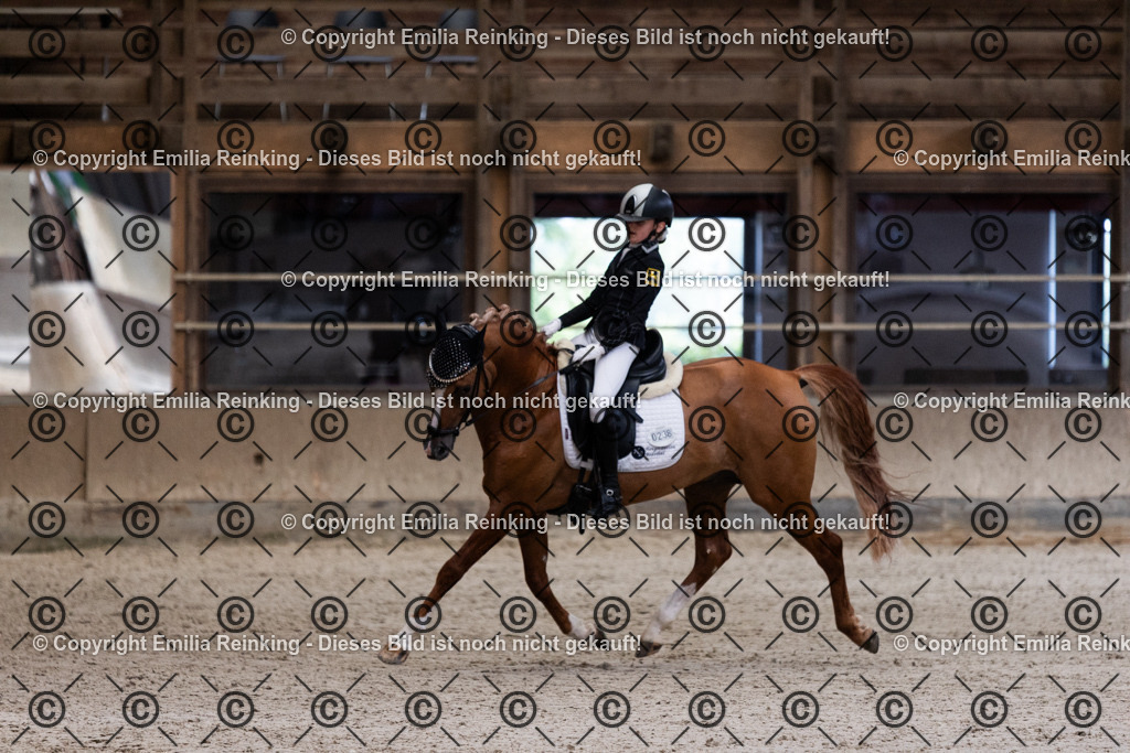 CL5A4044 | Emilia Reinking Fotografie - Realisiert mit Pictrs.com