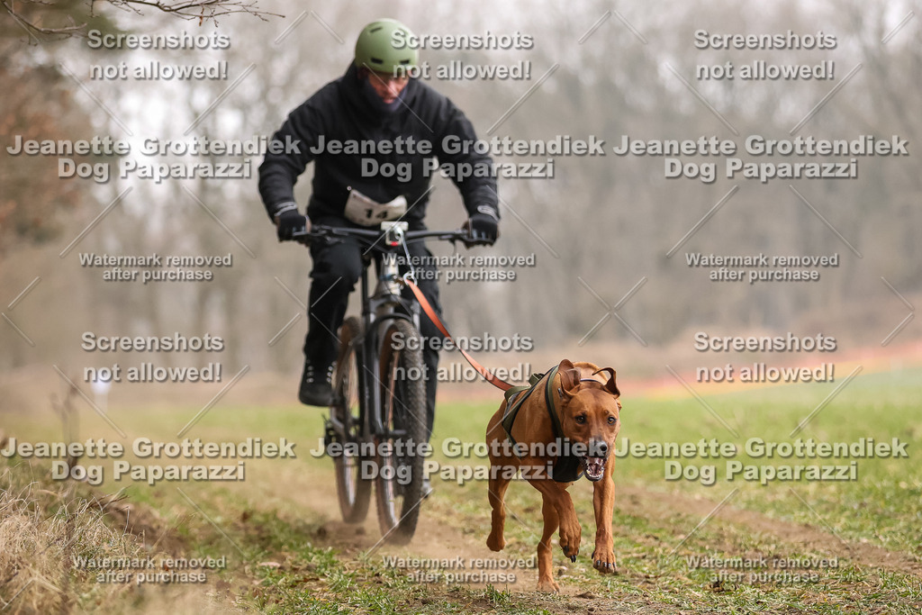 Dog Paparazzi - Plate 2026-51 | Dog Paparazzi Jeanette Grottendiek Fotografie & Videografie - Realisiert mit Pictrs.com