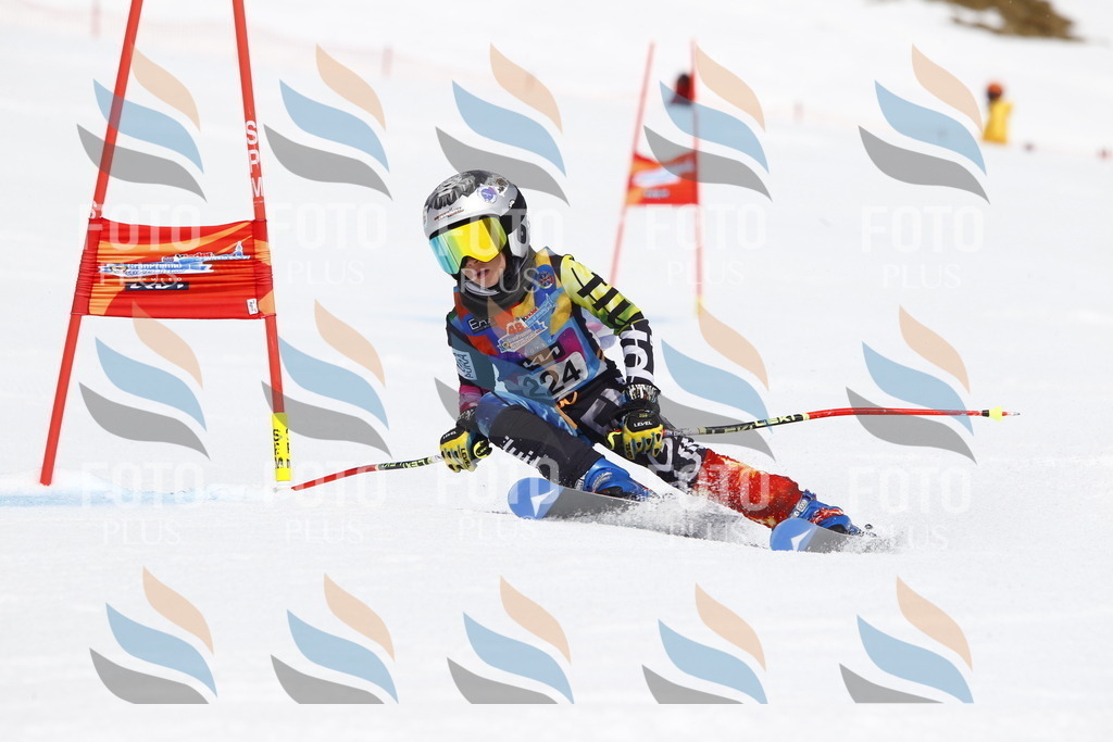 _U3G5786 | holidayphoto