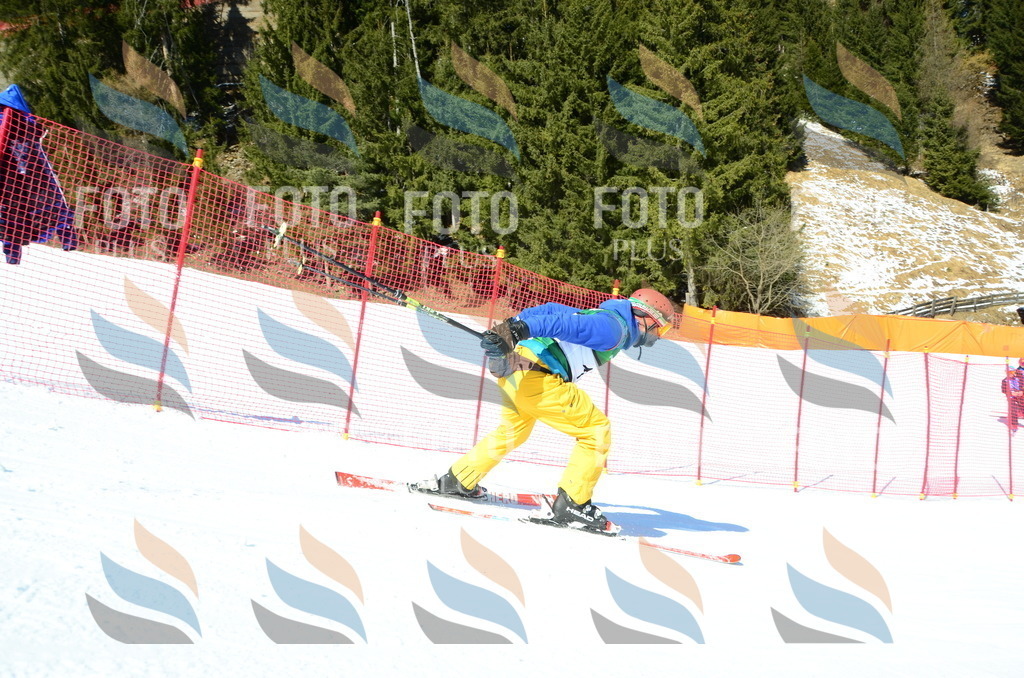 C6608 | holidayphoto