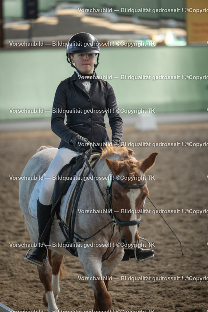 _D5A8688 | Emotionale Pferde- & People-Fotografie rund um Heidelberg, Leimen & Umgebung. Natürliche Fotos von Pferd, Mensch & Familie. Jetzt Termin sichern!