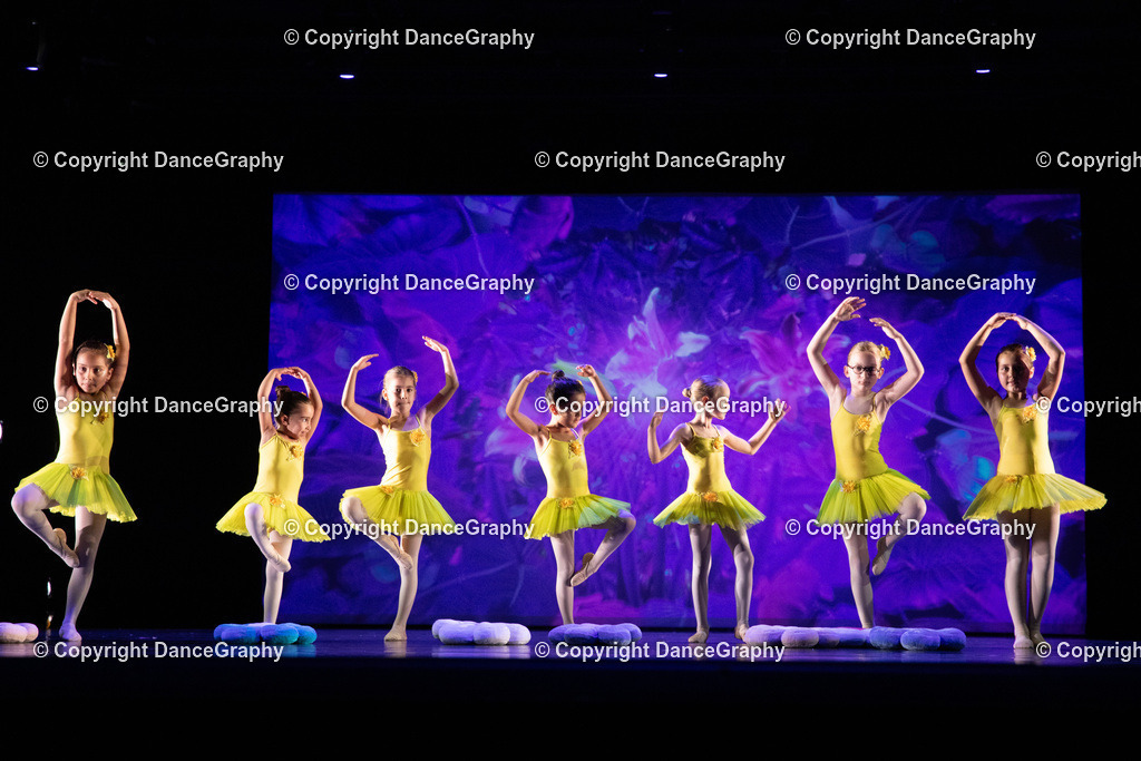 GPHY6252 | DanceGraphy - Realisiert mit Pictrs.com