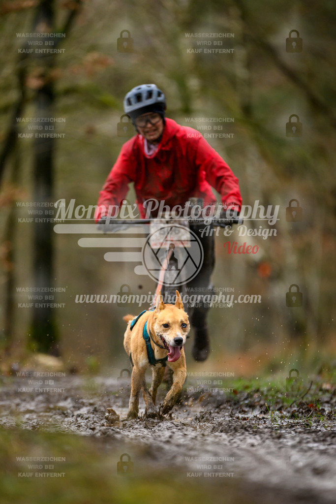 MompixPhotography_CDSM24_SA_DS1-47 | PayLife