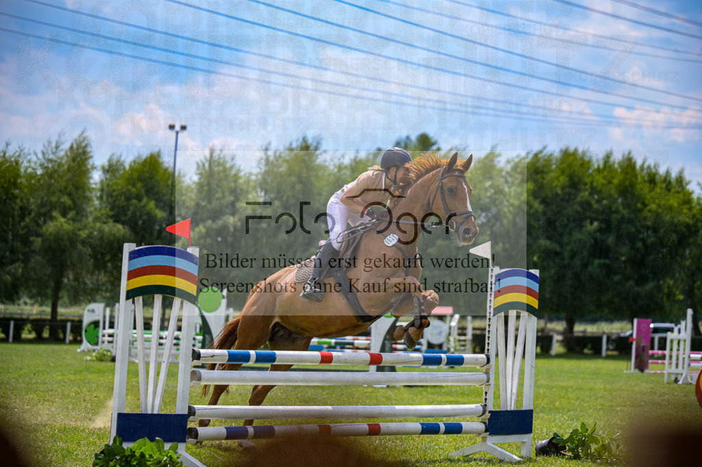 Reitturnier Voxtrup | Entdecke hochwertige Reitturnierfotos von Foto Oger. Professionell, emotional und authentisch – jetzt Lieblingsmomente im Shop bestellen.Deutschlandweite Turnierfotografie. - Realisiert mit Pictrs.com