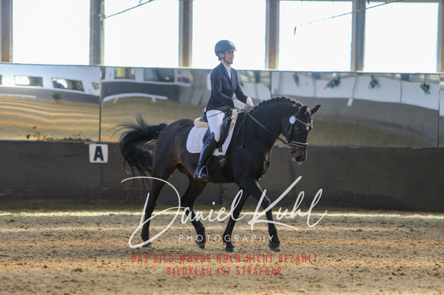 IMG_2941 | Turniersportfotografie; Pferdefotografie; Dressurfotografie