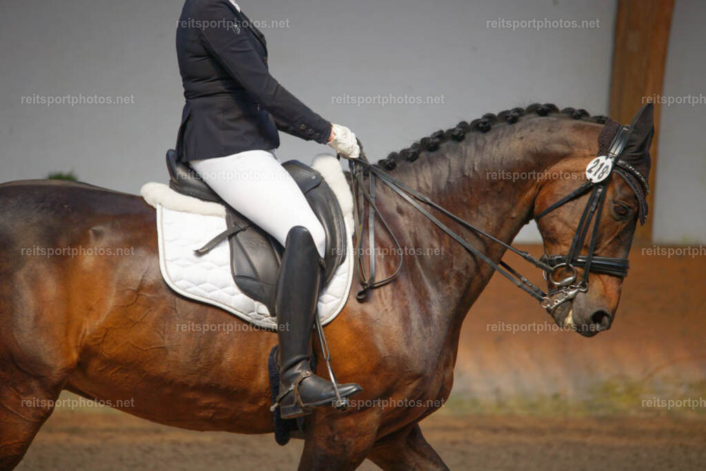 JHE_2347 | JoYa Fotografie - Realisiert mit Pictrs.com