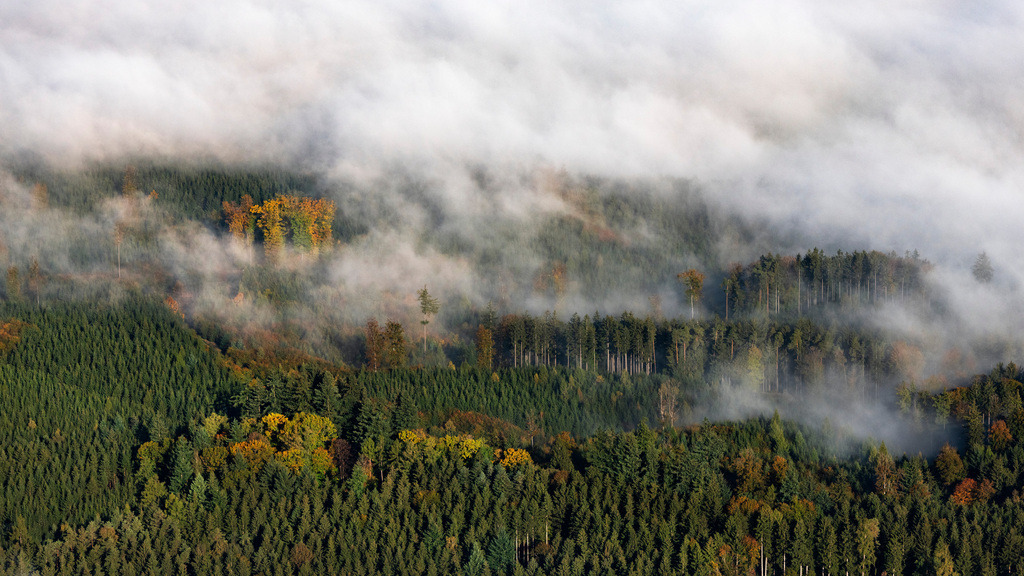 dr__0038598.jpg | PöTTMES 23.10.2023 Wetterbedingt aufliegende Nebelbänke und Wolkenschicht über dem Wald in Pöttmes im Bundesland Bayern, Deutschland