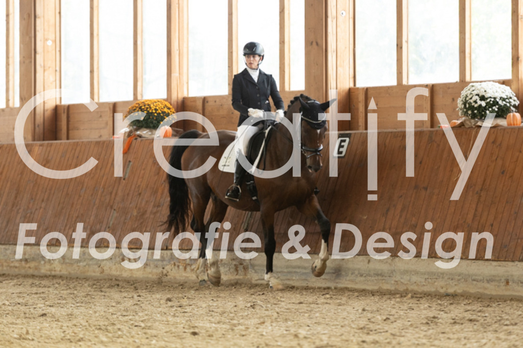 IMG_2617 | Creatify Fotografie