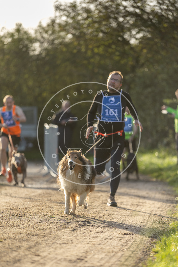 Pfotenfotografie.de_DV3A2671 | Hundefotografie, Tierfotograf, Pfotenfotografie, Fotoshooting Hund, Hunde Portrait, Hundesport, Hundeportraits, Heideshooting, Hunde, Sportfotograf, Hundefotograf, Turnierhundsport, THS, canicross - Realisiert mit Pictrs.com
