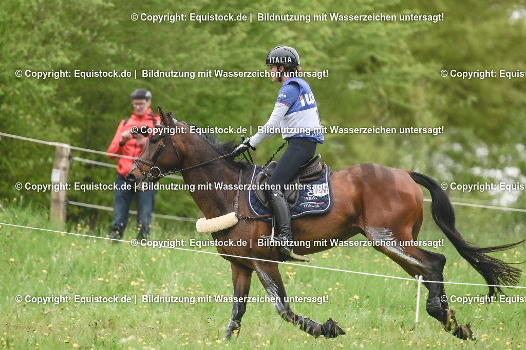 20230513_CCI4_Gelände_0209 | equistock
