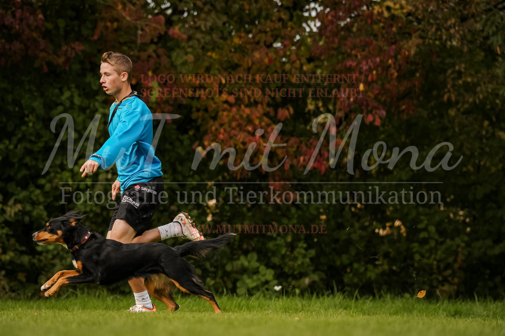 20251005_THS_Turnier-623 | MuT (Mensch und Tier) mit Mona - Fotografie und Tierkommunikation - Realisiert mit Pictrs.com