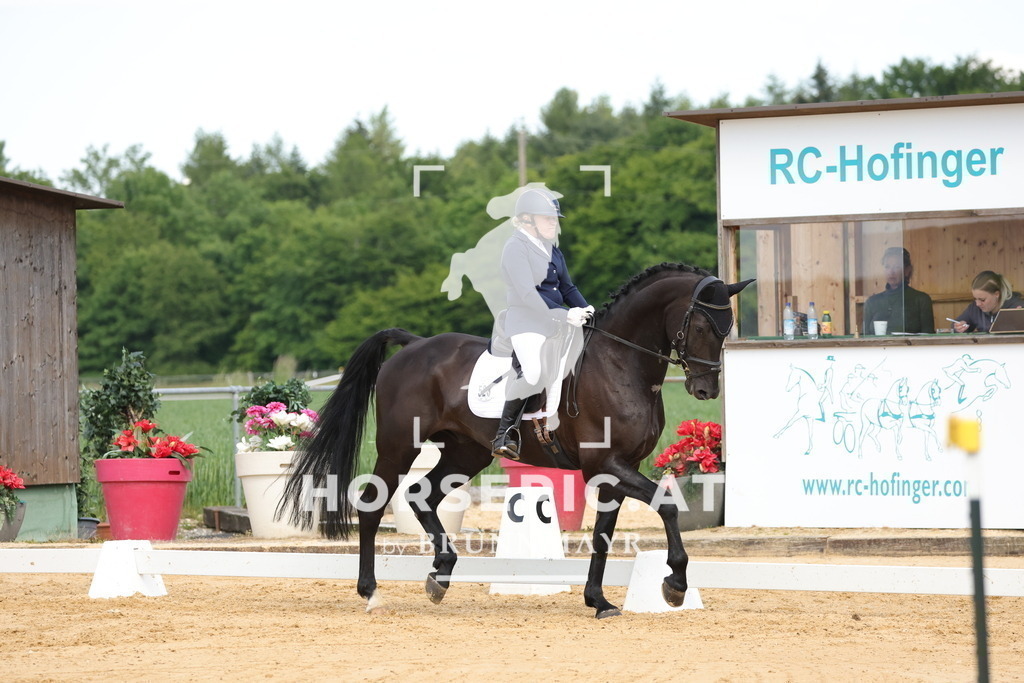 0P6A9078 | Willkommen bei Brunnmayr - Design & Fotografie – Ihrem Spezialisten für Reitturniere und Pferdeveranstaltungen in Oberösterreich, Salzburg und Bayern! Seit über 17 Jahren sind wir leidenschaftlich dabei.