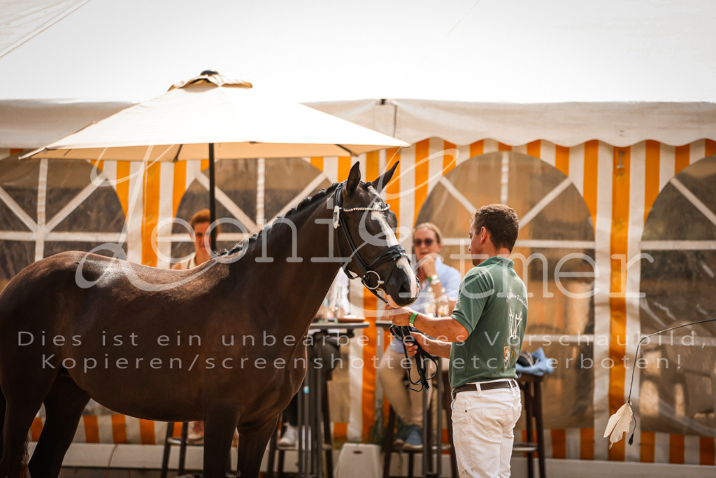 11.So00074 | Leoni Ertmer Photography - Realisiert mit Pictrs.com