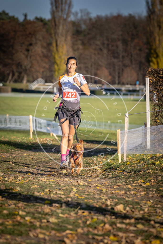 CaniXpix_DV3A2283 | Hundefotografie, Tierfotograf, Pfotenfotografie, Fotoshooting Hund, Hunde Portrait, Hundesport, Hundeportraits, Heideshooting, Hunde, Sportfotograf, Hundefotograf, Turnierhundsport, THS,  - Realisiert mit Pictrs.com