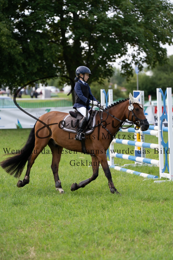 A7V03831 | Pferdefotograf