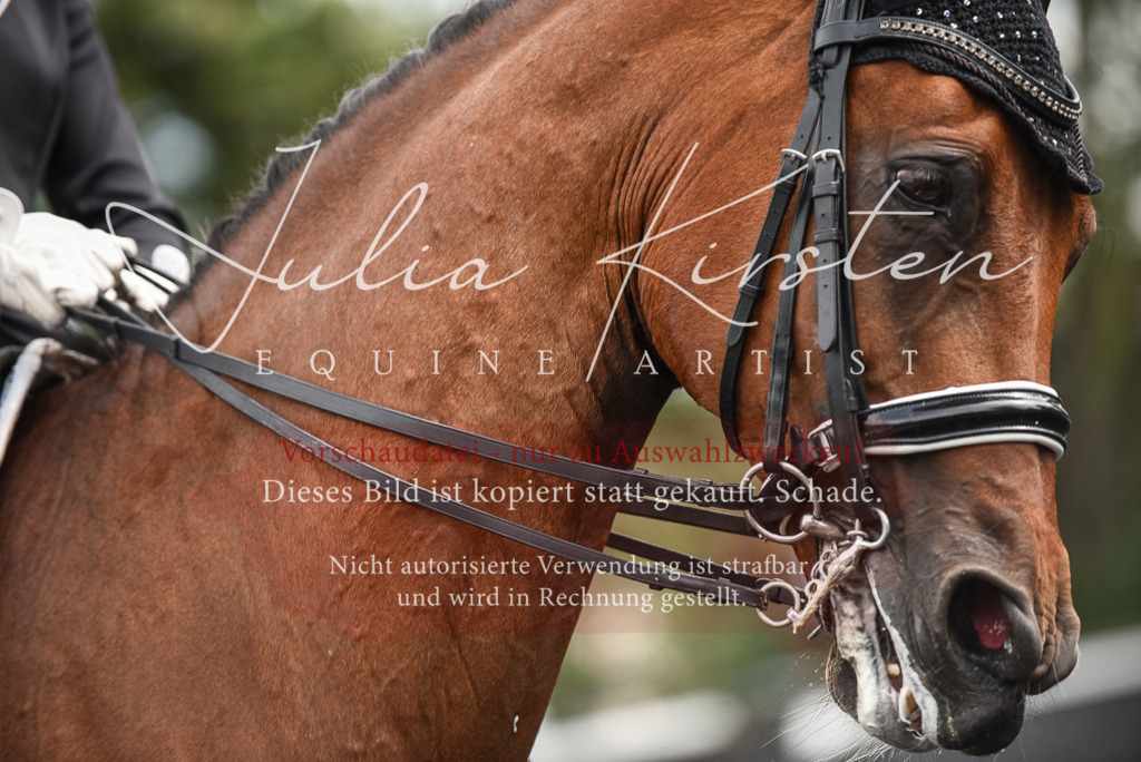 DSC_5007 | Pferde- und Turnierfotografie in Westsachsen. Pferdeportraits, Auftragszeichnungen und intuitive Kunst.