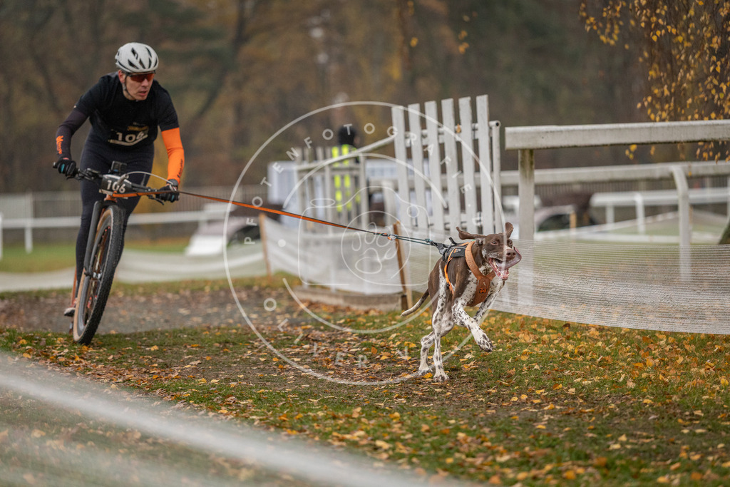 CaniXpix_DV3A7680 | Hundefotografie, Tierfotograf, Pfotenfotografie, Fotoshooting Hund, Hunde Portrait, Hundesport, Hundeportraits, Heideshooting, Hunde, Sportfotograf, Hundefotograf, Turnierhundsport, THS,  - Realisiert mit Pictrs.com