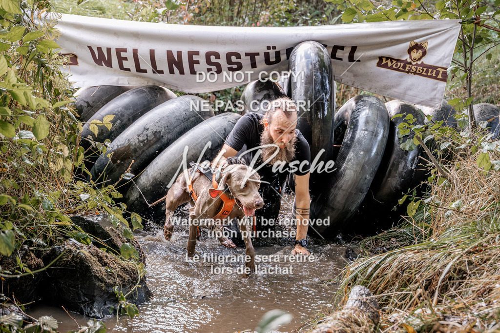 nelerasche_Hunsrück2026_Sa1400-1500_288 | nelerasche