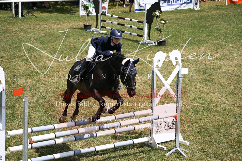 DSC_9462 | Pferde- und Turnierfotografie in Westsachsen. Pferdeportraits, Auftragszeichnungen und intuitive Kunst.