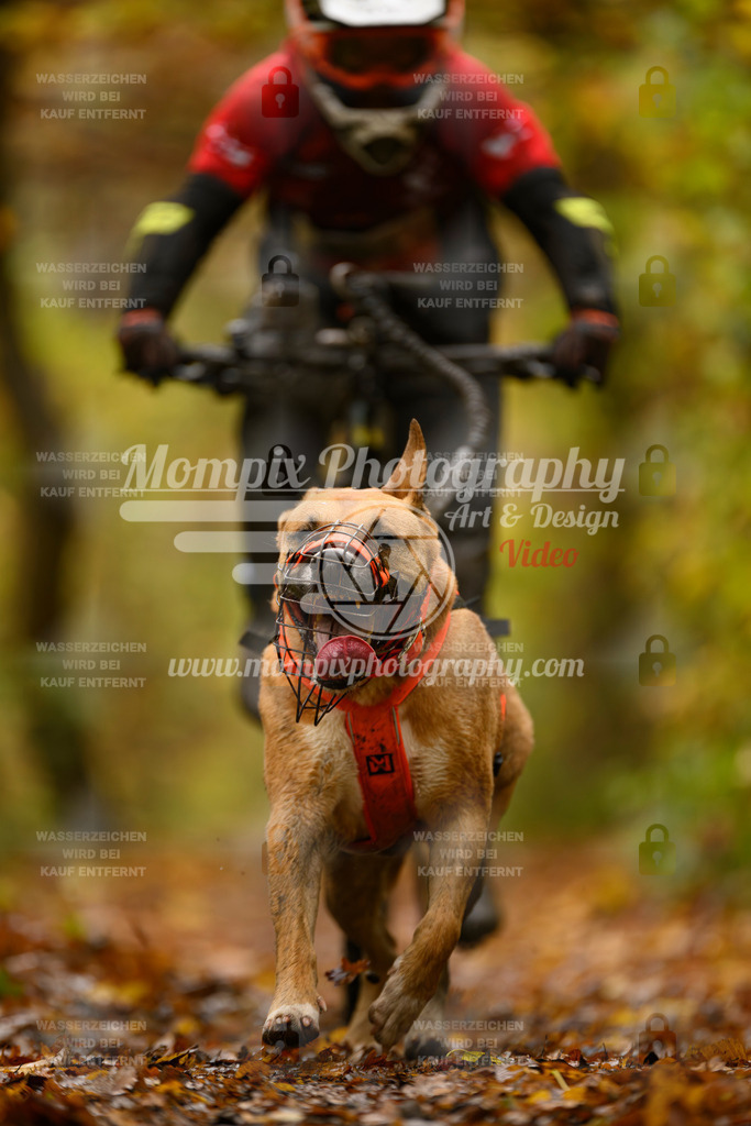 MompixPhotography_CD7S_DI_Bike-52 | mompixphotography