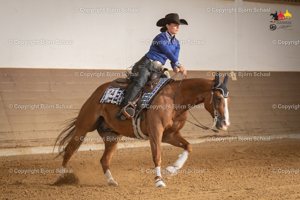 LMS08022 | BS-foto