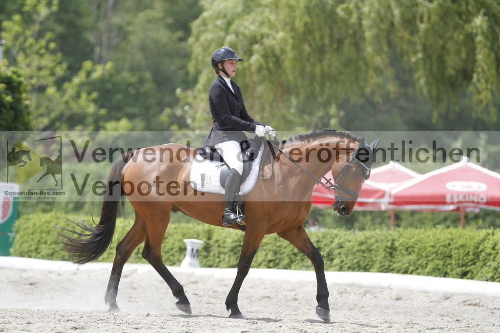 _MG_9615 | equestrian-live-com