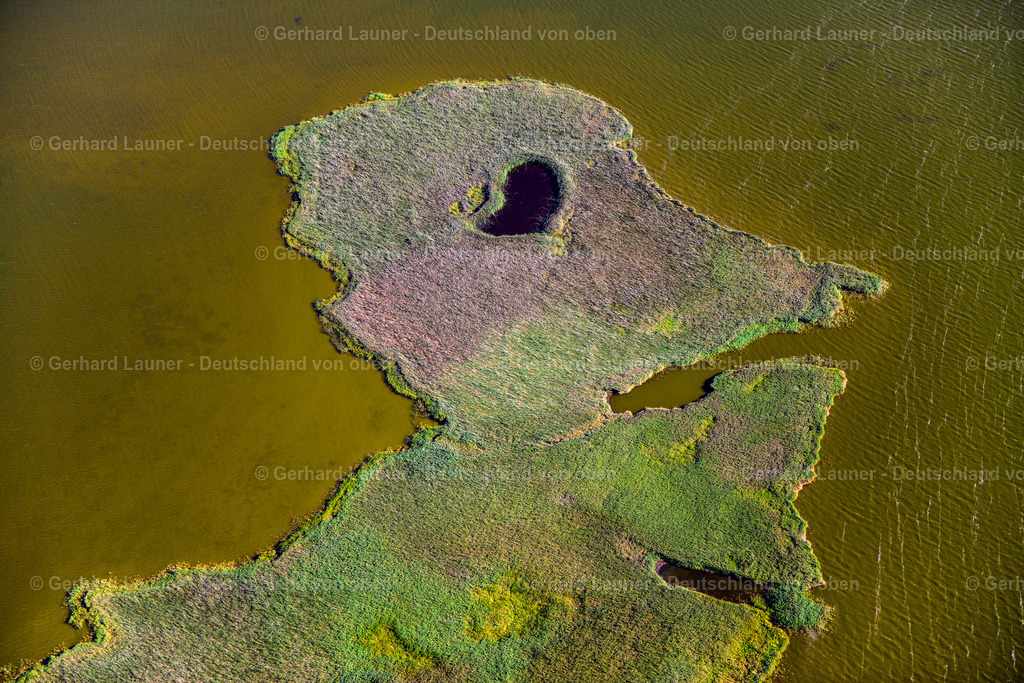 3638265 | BORN AM DARß 25.08.2016 Küstenbereich der Borner Bülten - Insel in Born am Darß an der Ostseeküste im Bundesland Mecklenburg-Vorpommern, Deutschland. // Coastal area Borner Buelten - Island in Born am Darss at the baltic coast in the state Mecklenburg - Western Pomerania, Germany. Foto: Gerhard Launer