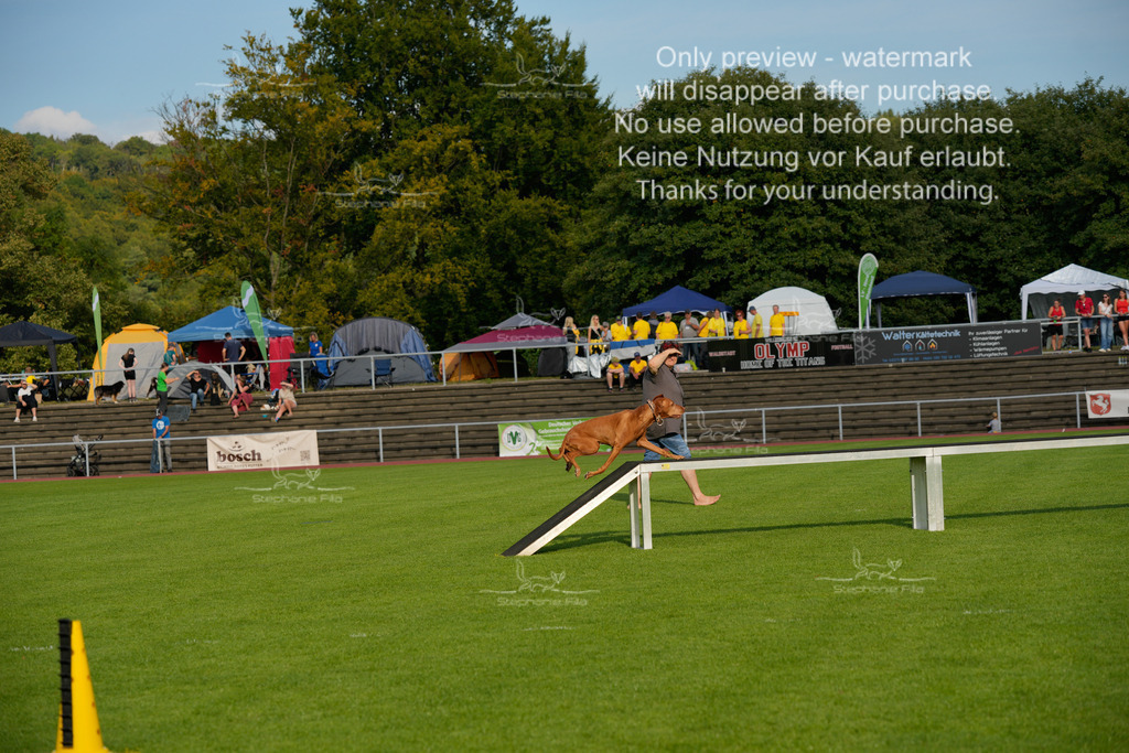 Samstag_CSC (1935 von 2023) | stephaniefillaphotographie - Realisiert mit Pictrs.com