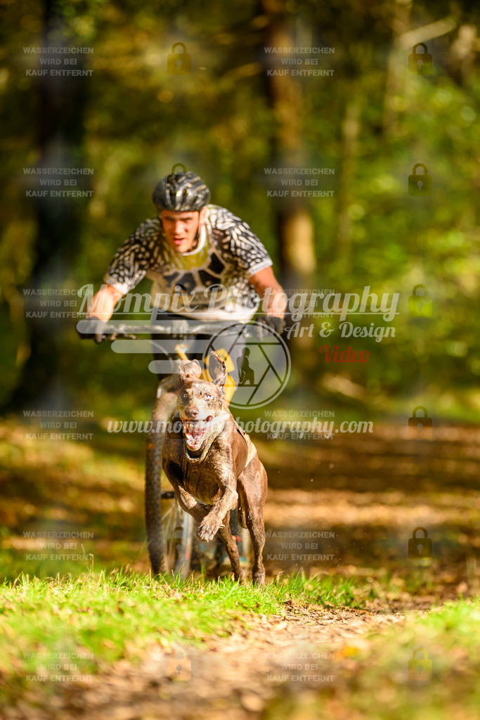MompixPhotography_20TSB_E1_DS1-20 | PayLife